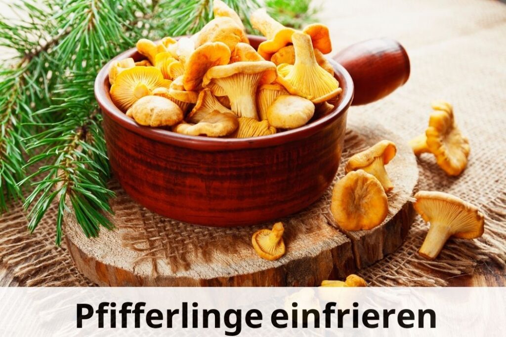 Pfifferlinge einfrieren Eine Schritt für Schritt Anleitung