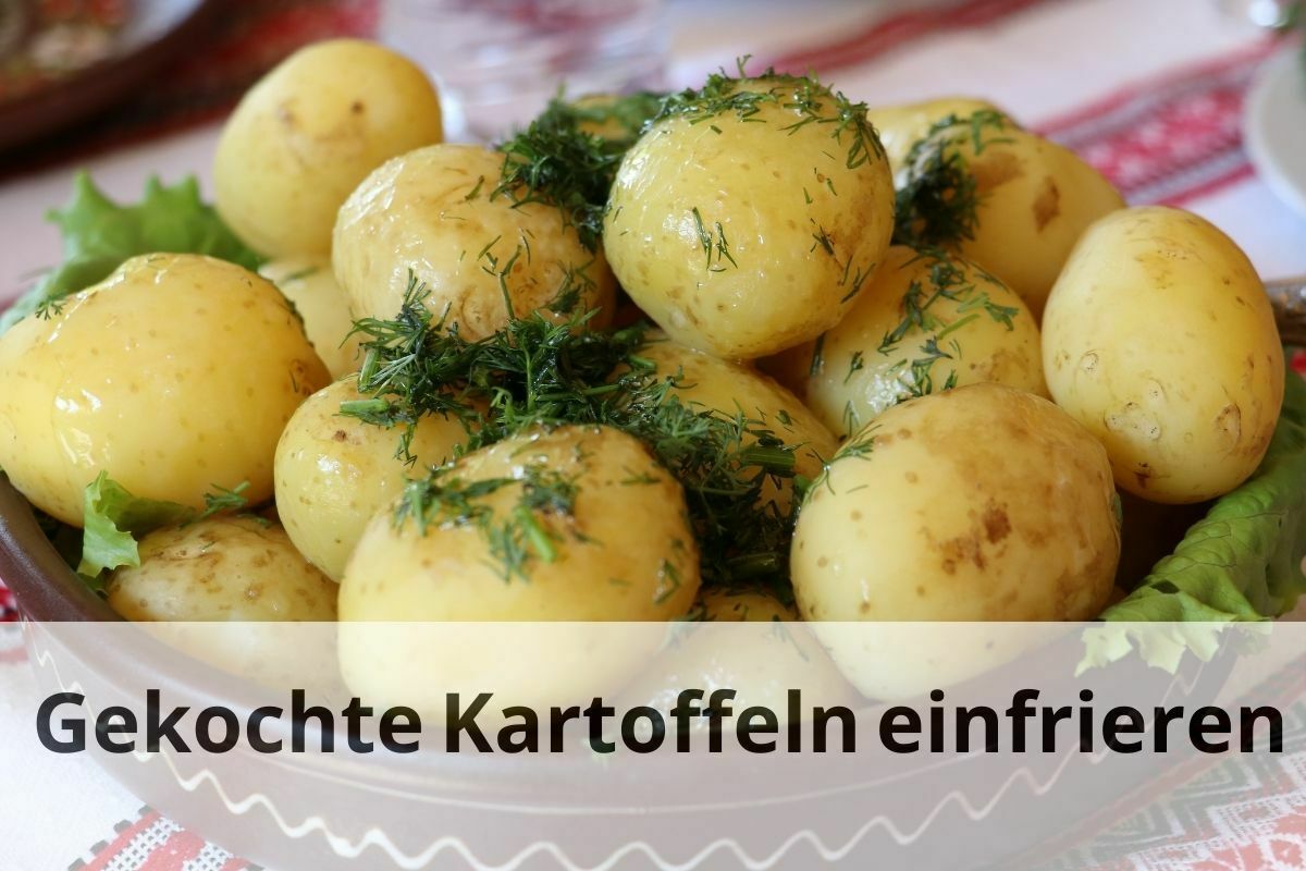 Gekochte Kartoffeln einfrieren: Tipps und Tricks | Einfrieren Tipps