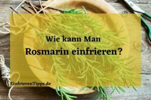 Frischen Rosmarin das ganze Jahr So geht's mit dem Einfrieren