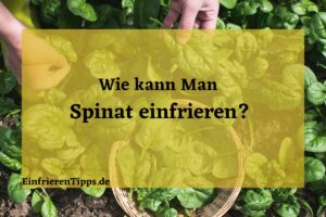 Kann man Spinat einfrieren So bleibt er frisch und lecker.