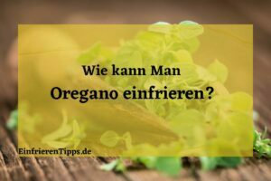 Oregano haltbar machen Tipps und Tricks zum Einfrieren