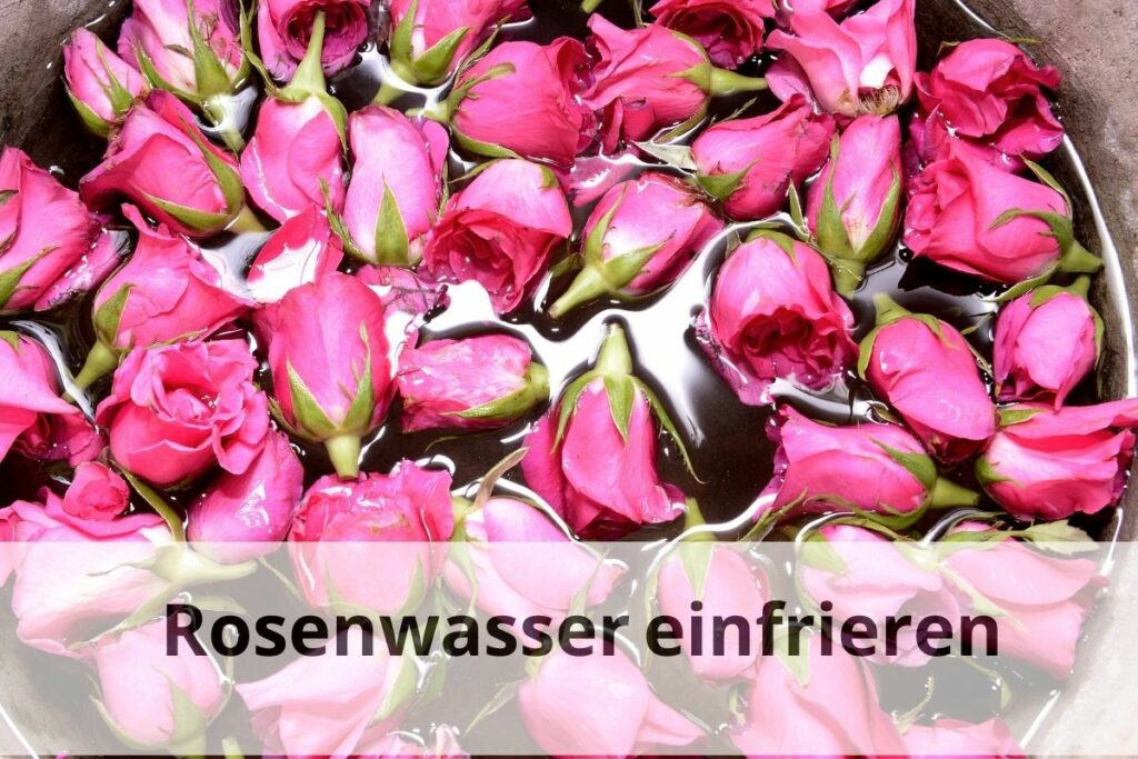 Wie kann man Rosenwasser einfrieren