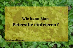 Frische Petersilie das ganze Jahr Tipps zum Einfrieren