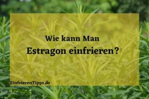 Kann man Estragon einfrieren