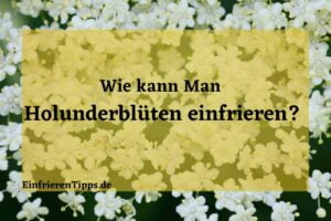 Kann man Holunderblüten einfrieren