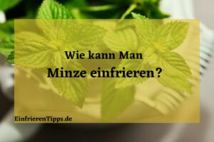 Kann man Minze einfrieren