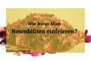Kann man Rosenblüten einfrieren