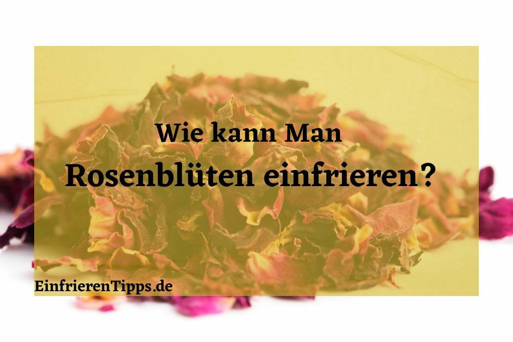 Kann man Rosenblüten einfrieren