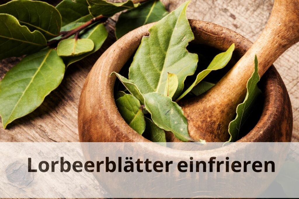Wie lange kann man Lorbeerblätter einfrieren