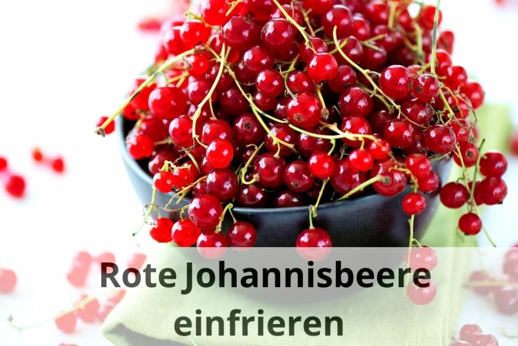 Wie lange kann man Johannisbeeren einfrieren?