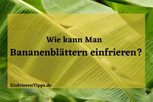 Kann man Bananenblätter einfrieren
