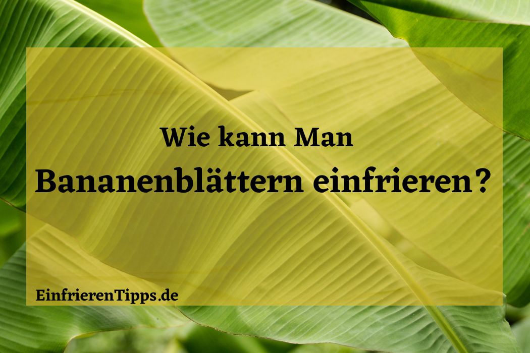 Kann man Bananenblätter einfrieren