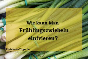 Kann man Frühlingszwiebeln einfrieren