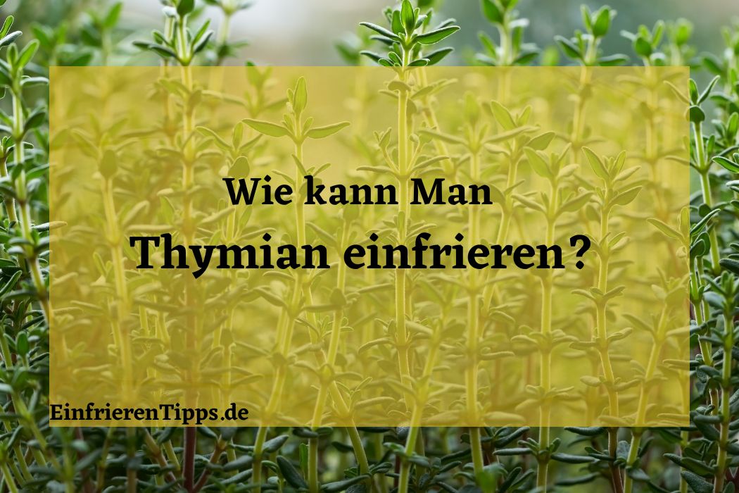 Kann man Thymian einfrieren