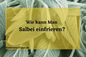 kann man Salbei einfrieren