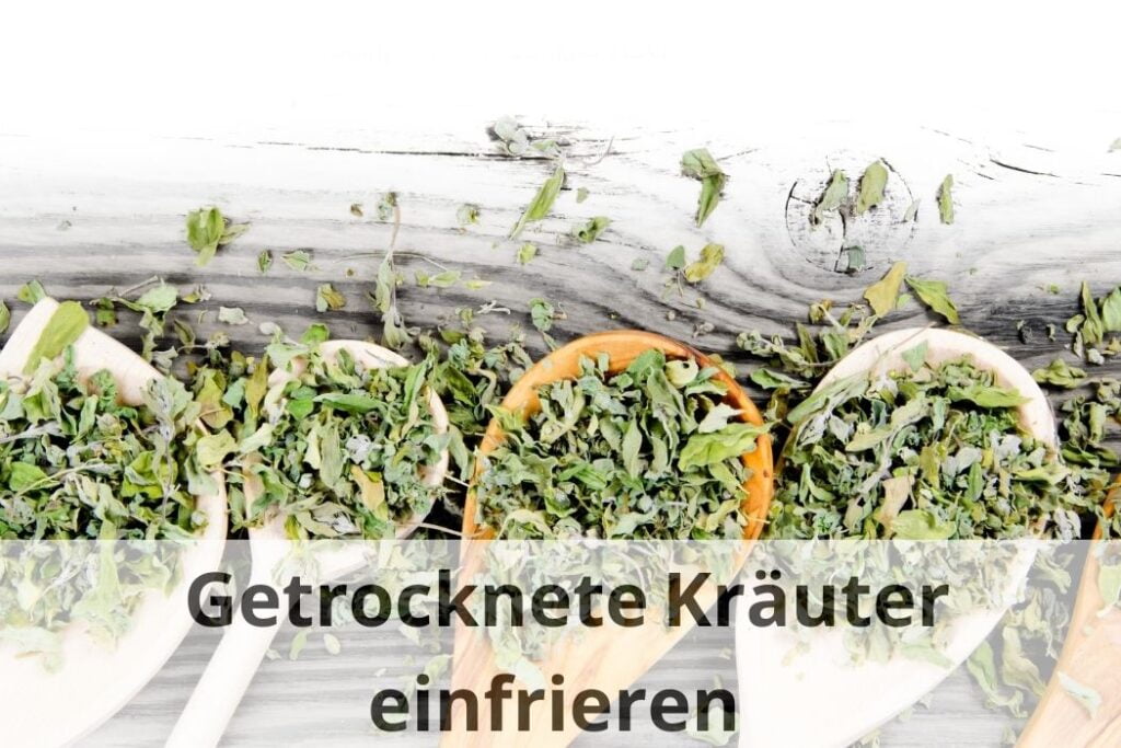 wie lange kann man getrocknete Kräuter einfrieren