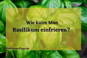 Kann man Basilikum einfrieren