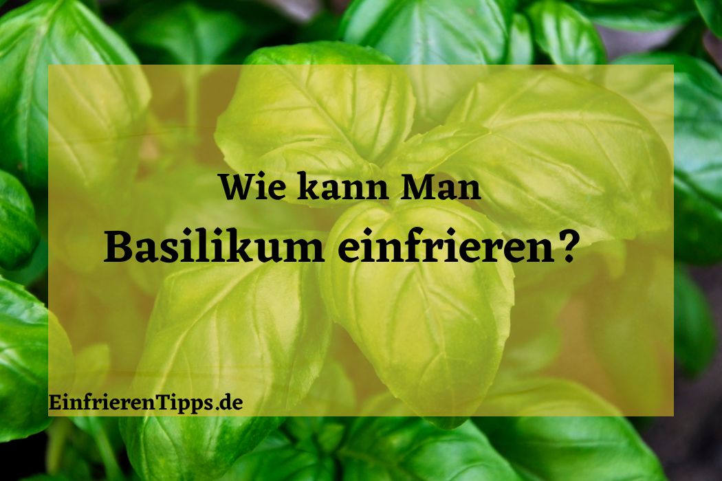 Kann man Bärlauch einfrieren? So geht es! | Einfrieren Tipps