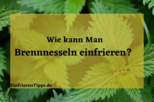 Kann man Brennnesseln einfrieren