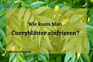 Kann man Curryblätter einfrieren