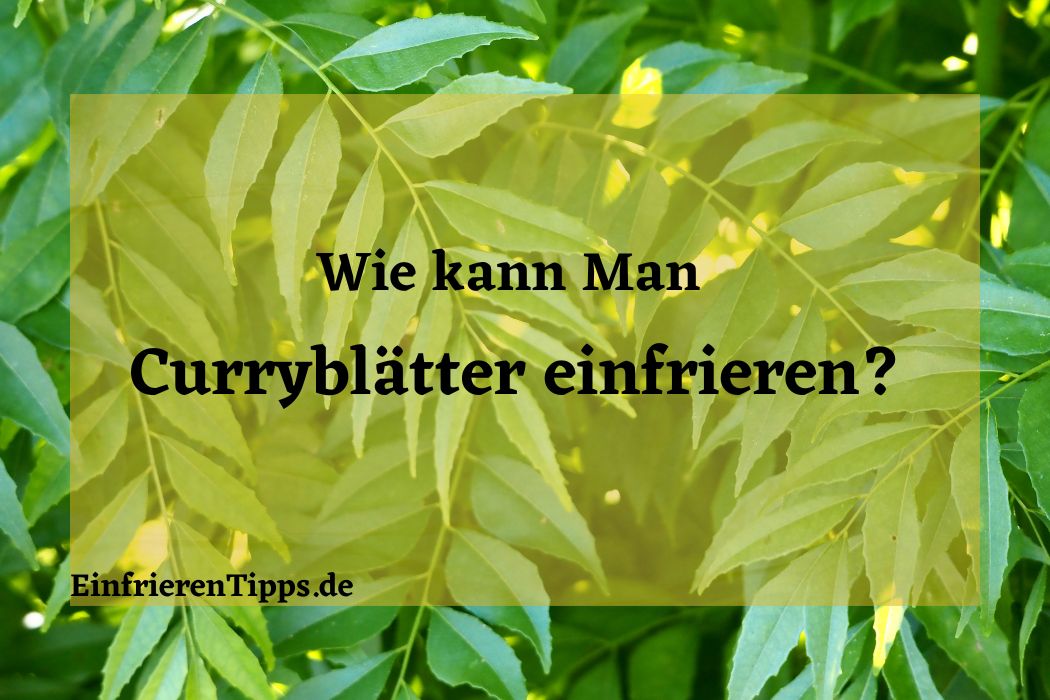 Kann man Curryblätter einfrieren