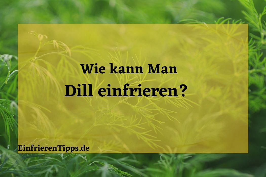 Kann man Dill einfrieren