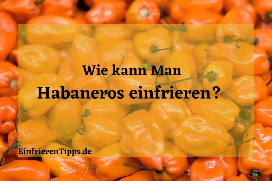 Habaneros haltbar machen: Einfrieren als beste Option? | Einfrieren Tipps