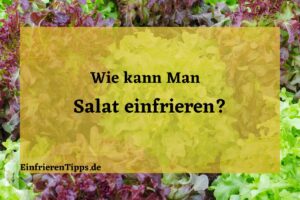 Kann man Salat einfrieren