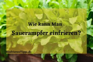 Kann man Sauerampfer einfrieren