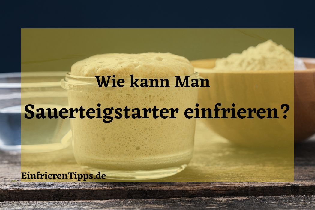 Kann man Sauerteig Starter einfrieren