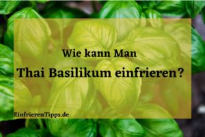 Kann man Thai Basilikum einfrieren
