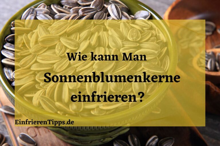 Einfrieren von Sonnenblumenkernen: Die richtige Methode | Einfrieren Tipps