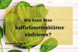 kann man kaffirlimettenblätter einfrieren