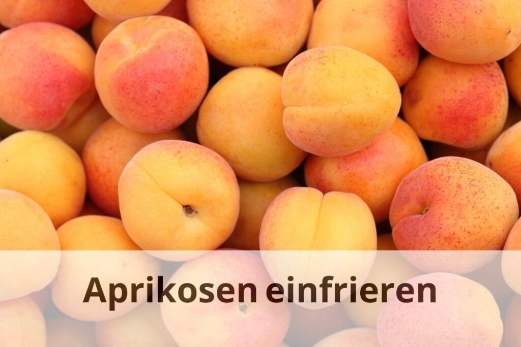 wie lange Kann man Aprikosen einfrieren