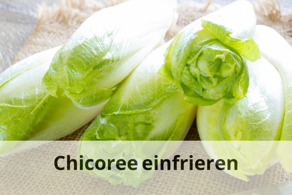wie lange Kann man Chicorée einfrieren
