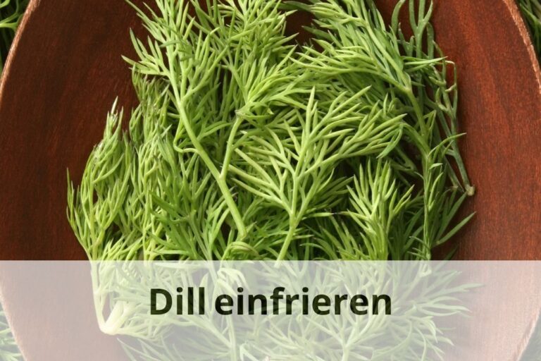 Dill einfrieren: So erhalten Sie die Frische | Einfrieren Tipps