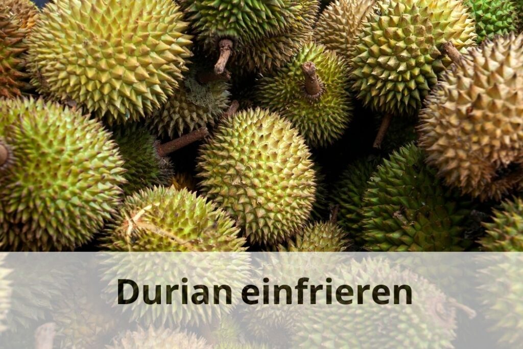 wie lange Kann man Durian einfrieren