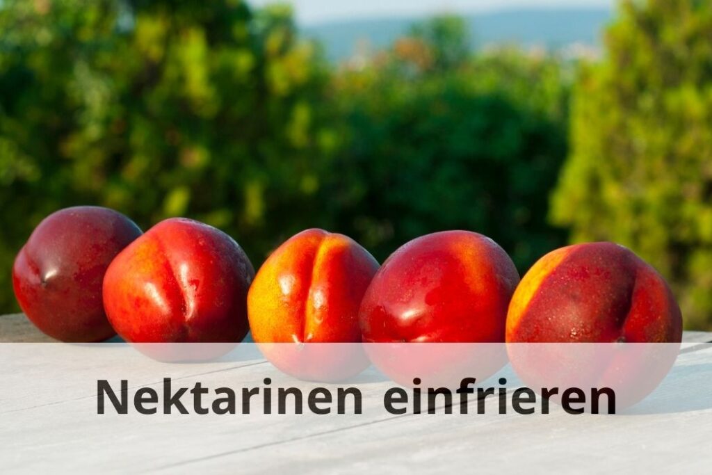 wie lange Kann man Nektarinen einfrieren