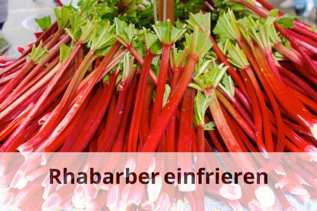 Einfrieren von Rhabarber Vorbereitung und Lagerung Einfrieren Tipps