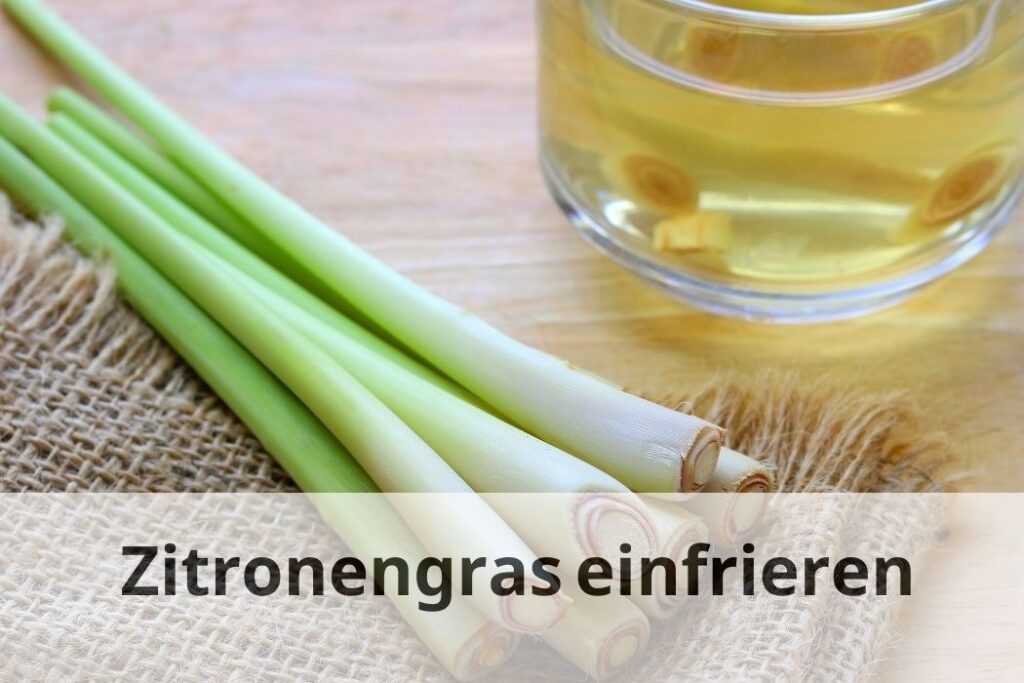 wie lange Kann man Zitronengras einfrieren