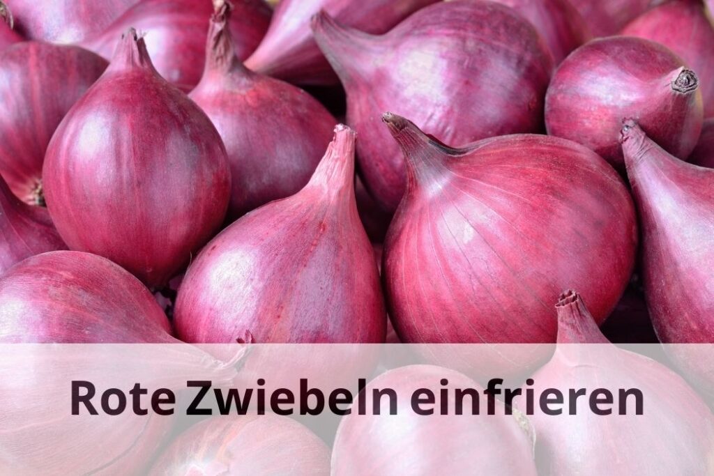 wie lange Rote Zwiebeln einfrieren