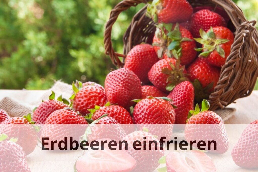 wie lange kann man Erdbeeren einfrieren