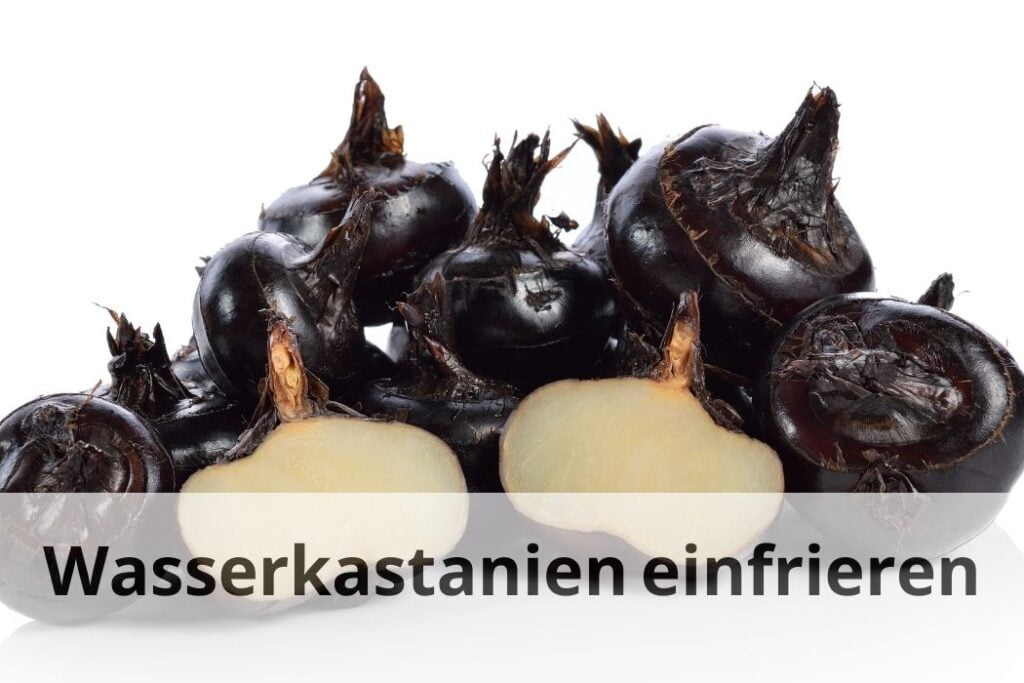 wie lange kann man Wasserkastanien einfrieren