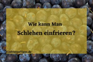 kann man Schlehen einfrieren