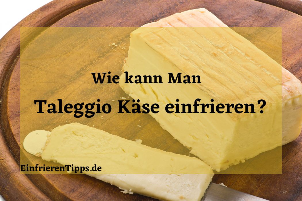 kann man Taleggio Käse einfrieren
