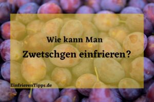 kann man Zwetschgen einfrieren