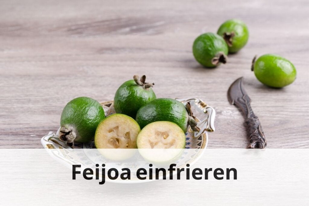 wie lange Kann man Feijoa einfrieren