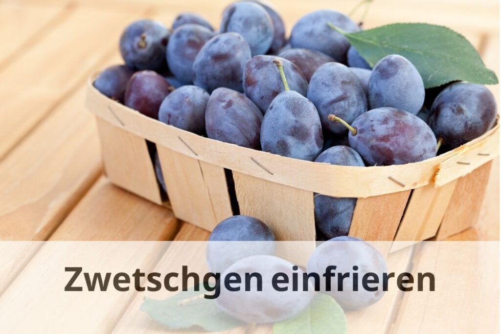 wie lange kann man Zwetschgen einfrieren