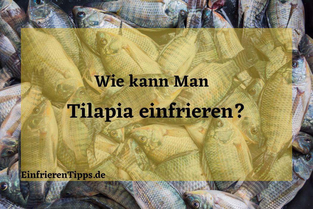Kann man Tilapia einfrieren