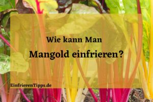 kann man Mangold einfrieren